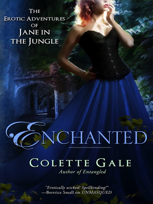 Title details for Enchanted: A New Love by Colette Gale - Available